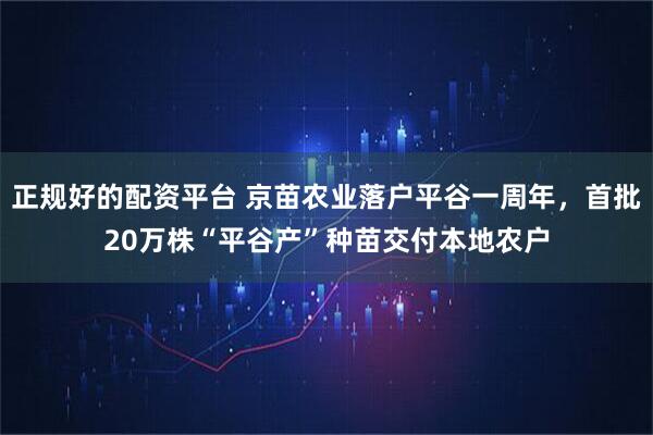 正规好的配资平台 京苗农业落户平谷一周年,首批20万株“平谷产”种苗交付本地农户
