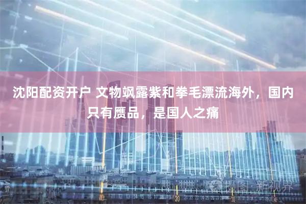 沈阳配资开户 文物飒露紫和拳毛漂流海外，国内只有赝品，是国人之痛